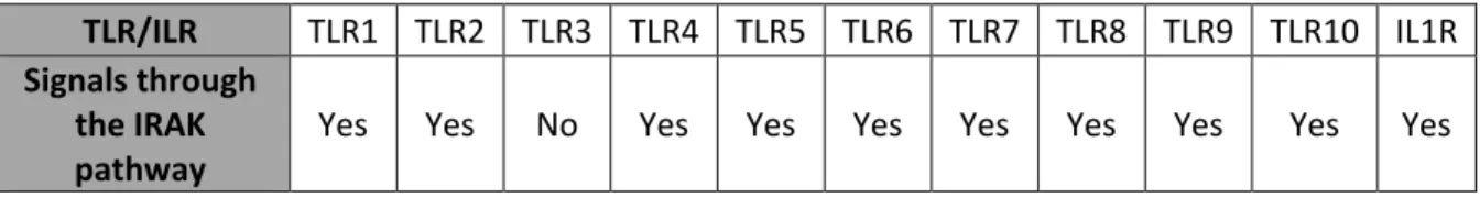 Table 1. 1 List of TLRs that can signal through the IRAK pathway. 