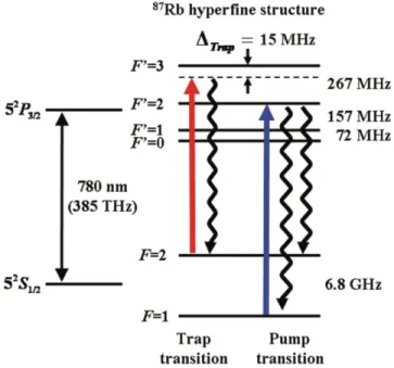 Figure 1: Diagram of Rubidium-87 hyperfine structure where the Doppler cooling process of  the trap laser is represented by the red transition