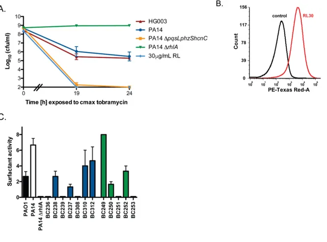 Figure 2.2. P. aeruginosa rhamnolipids potentiate aminoglycoside uptake and cell  death in S