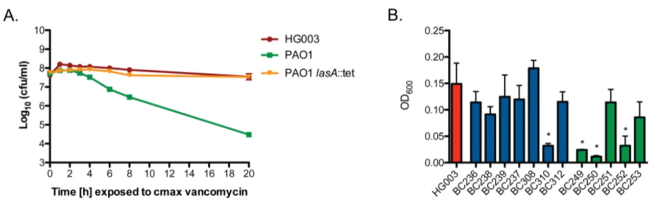 Figure 2.9. P. aeruginosa endopeptidase LasA induces lysis in S. aureus. S. 