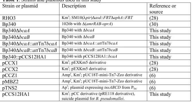 Table 1. Strains and plasmids used in this study 