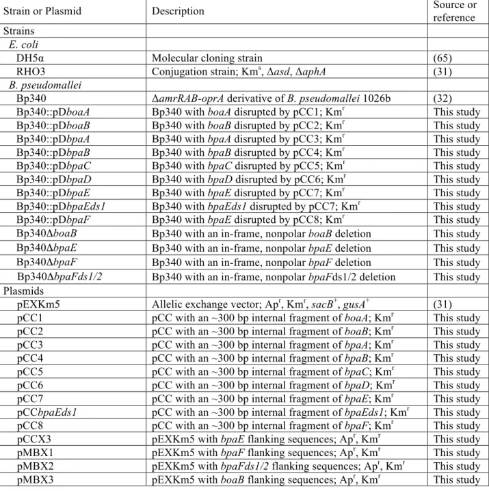 Table 1. Strains and plasmids used in this study. 