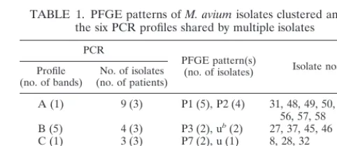 FIG. 3. PCR typing of clinical M. avium13 to 17, patterns of isolates obtained from 15 unrelated patients; lanes 6 and 18,bacteriophage lambda DNA-pBR322 DNA- isolates