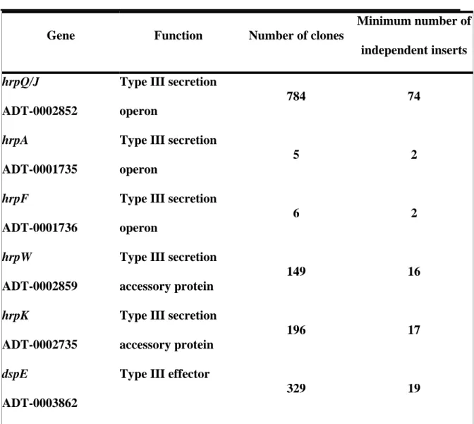 Table 2: HrpL regulated genes found in the DFI screen.  T3SS accessory  genes are involved in apparatus assembly