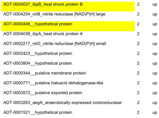 Table 3: Genes found to be in the HrpL stimulon: Gene identification numbers  were determined by the annotation described in Chapter 2