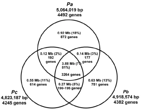 Figure 2. Venn diagram illustrating the total amounts of shared and lineage- lineage-specific nucleotide sequence observed in the Mauve multiple alignment  and predicted orthologous genes