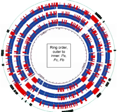 Figure 3. Circular diagram comparing three Pectobacterium genomes.  This  plot is shown using the coordinate system of the complete Pa genome