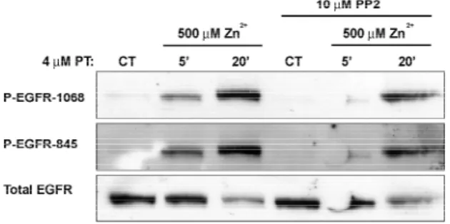 Figure 2-2A             Figure 2-2B 