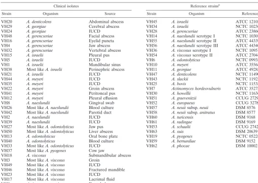 TABLE 1. Sources of bacterial strainsa