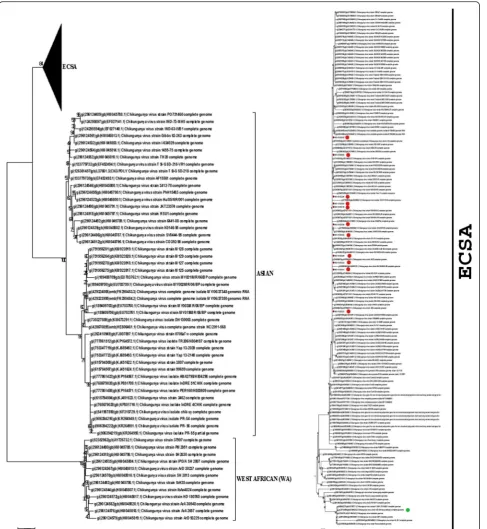 Fig. 1 Phylogenetic analysis of nsPs. Total 209 nsP sequences (14 of CHIKV Delhi samples and 195 available in public domain) were aligned usingMEGA 6.0 software to construct phylogenetic tree based on Neighbor-joining algorithm and Poisson distribution dis