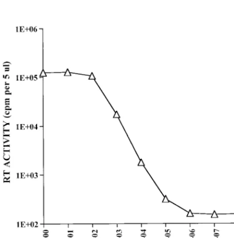 TABLE 2. Detection of type D retroviruses in RT assays