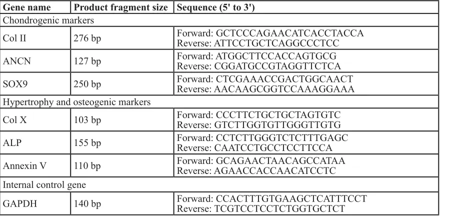 table 1: the sizes and nucleotide sequences of the related primers. 
