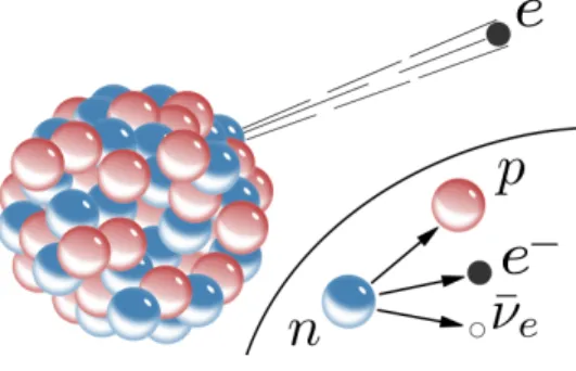 Figure 1: Beta decay diagram