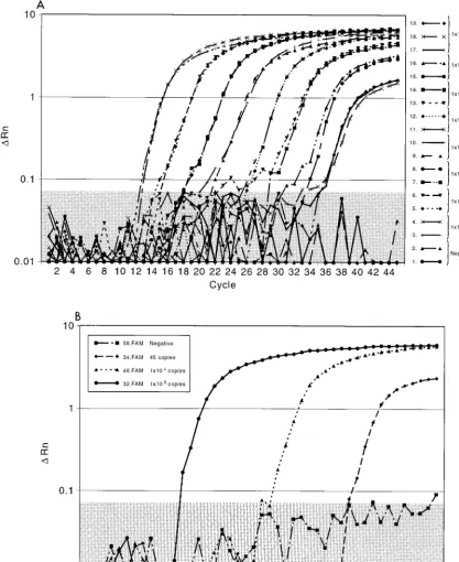 FIG. 2. Fluorescent probe assay for detection of HSV DNA.Rn corresponds to the increase in reporter dye intensity relative to the passive internal reference.45 copies of HSV DNA