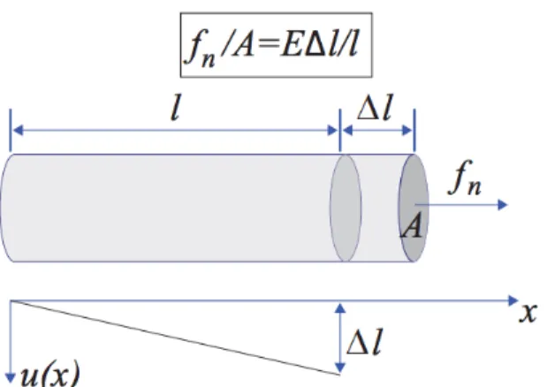 Figure 3.1: The force to stretch a rod is proportional to it’s relative elonga- elonga-tion