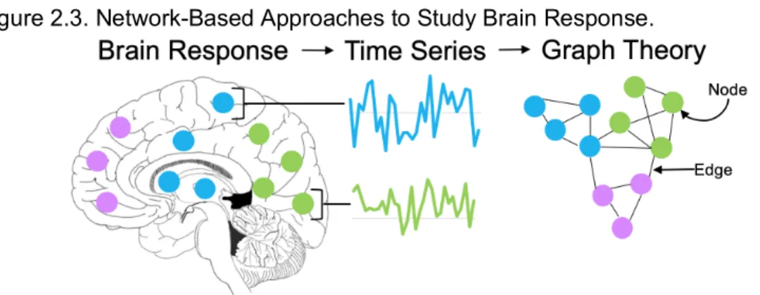 Figure 2.3. Network-Based Approaches to Study Brain Response.  