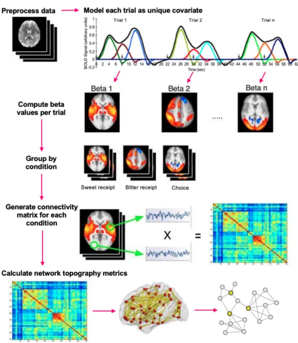 Figure 3.4: Betaseries Connectivity and Network Analyses 