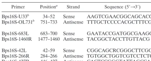 TABLE 1. Nucleotide sequences of PCR primers for amplifying the16S rRNA genes of Ara� and Ara� B