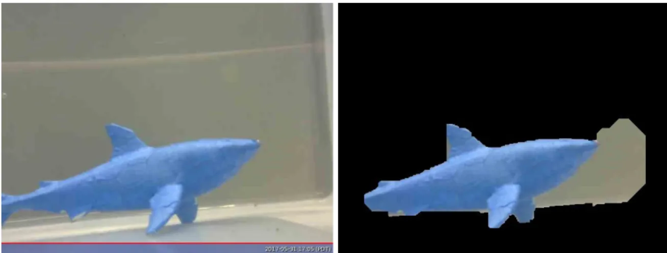 Figure 4 ​: Original and Masked Image of Underwater Toy Fish 