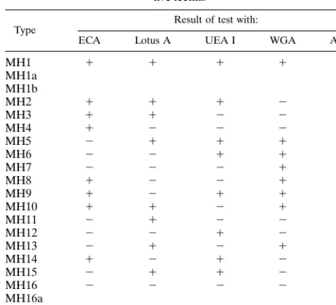 TABLE 2. Proposed typing scheme for H. pylori with a panel ofﬁve lectins