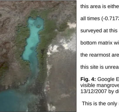 Fig. 4: Google Earth image of La Tortuga with  visible mangrove forest. Image taken 