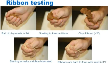 Figure 8 - Making a soil ribbon (Slide Share, 2011).