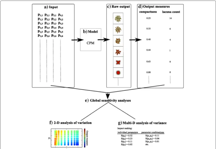 Fig. 1 Overview of the global sensitivity analysis. (a) The input of the model is a list of parameter sets
