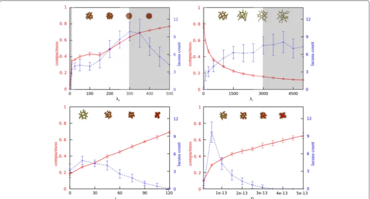 Fig. 2 One-dimensional parameter sweeps for compactness and lacuna count. Plots of one-dimensional parameter sweeps for each of the four selected parameters: cell rigidity ( λ A ), cell-cell adhesion (J cell,cell ), diffusion coefficient of the chemoattrac