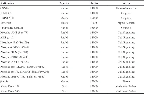 Table 2: List of the siRNAs used in this study