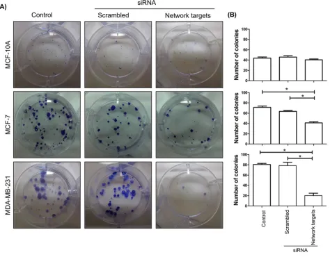 Figure 3: The knockdown of the network targets inhibits focus formation in MDA-MB-231 cells