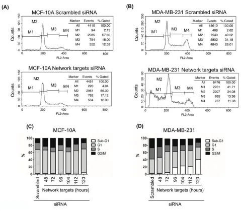 Figure 4: The knockdown of the network target induces cell death in MDA-MB-231 cells. MCF-10A and MDA-MB-231 cells were plated at 90% confluence