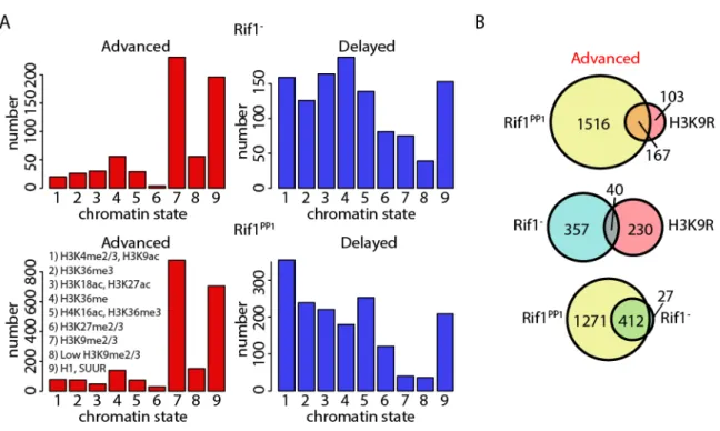 Figure 5.2. Rif1 and H3K9 regulate RT of unique heterochromatic domains. A) All  advanced (red) 10kb windows in Rif1 -  and Rif1 PP1  mutants were assigned to the nine 