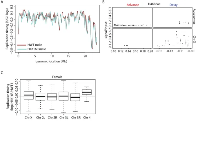 Figure 2.18. Characterization of altered replication timing in H4K16R mutants. A)  LOESS regression line applied to S/G1 (log 2 ) averaged replicates from HWT male (maroon)  and H4K16R male (blue) plotted across Chromosome X at 100kb windows with a 10kb sl