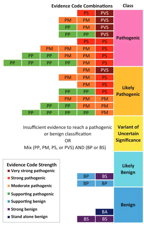 Figure 2.1: ACMG/AMP categorical combining rules for variant classification. Possible  evidence combinations are represented alongside the corresponding variant classification  according to Richards et al