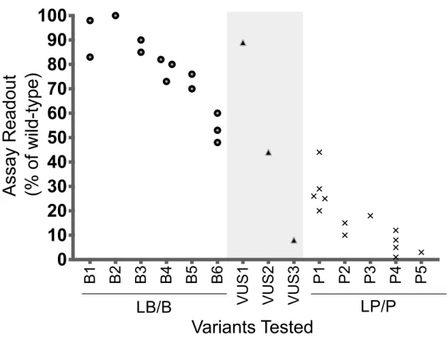 Figure 3.1: Assembly of variant controls to set readout thresholds for normal and  abnormal function