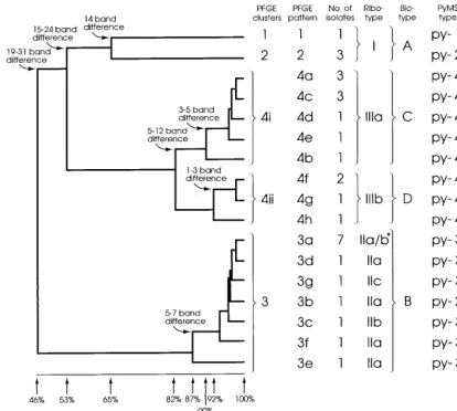 FIG. 2. Dendrogram produced following Dice and UPGMA analysis of the PFGE patterns of Smabetween and within clusters are shown