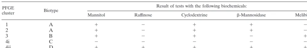TABLE 1. Biotypes and corresponding PFGE clusters of VREM