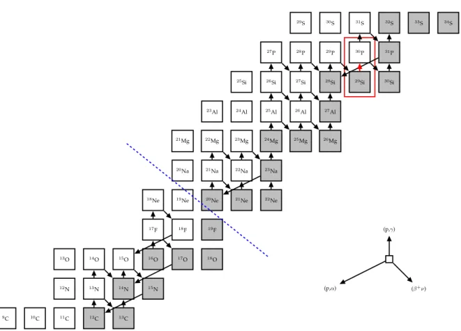 Figure 1.4: A section of the chart of the nuclides (6 ≤ Z ≤ 16) featuring the reactions important to neon nova nucleosynthesis
