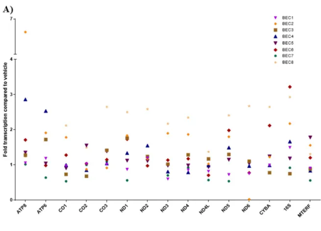 Figure 2.3 Mitochondrial gene expression in BECs exposed to 3 μg/ml MWCNTs, as 