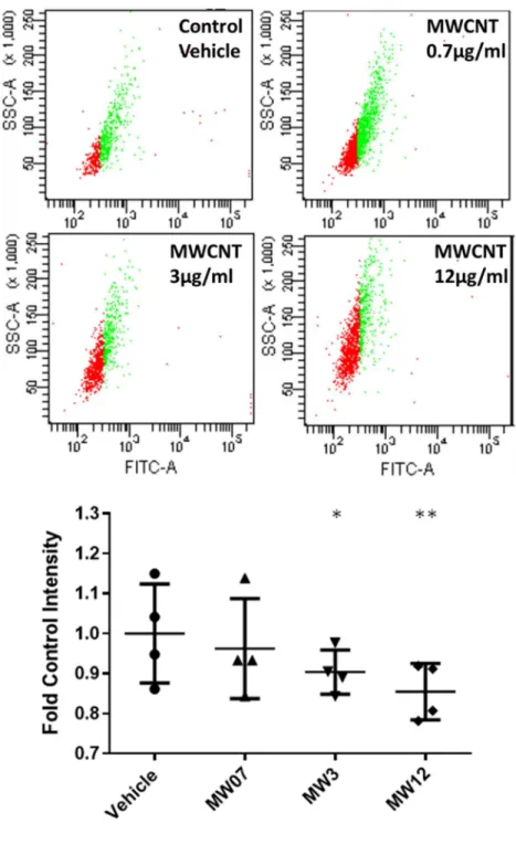 Figure 2.5 Succinate Dehydrogenase A (SDHA) staining per cell, as measured by flow  cytometry