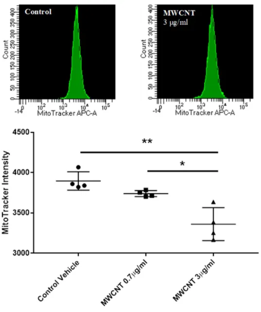 Figure 2.6 MitoTracker staining per cell, as measured by flow cytometry.  Similar to SDHA  immunostaining, the average fluorescent intensity of MitoTracker Deep Red FM dye taken  up by the cell was used to measure mitochondrial abundance