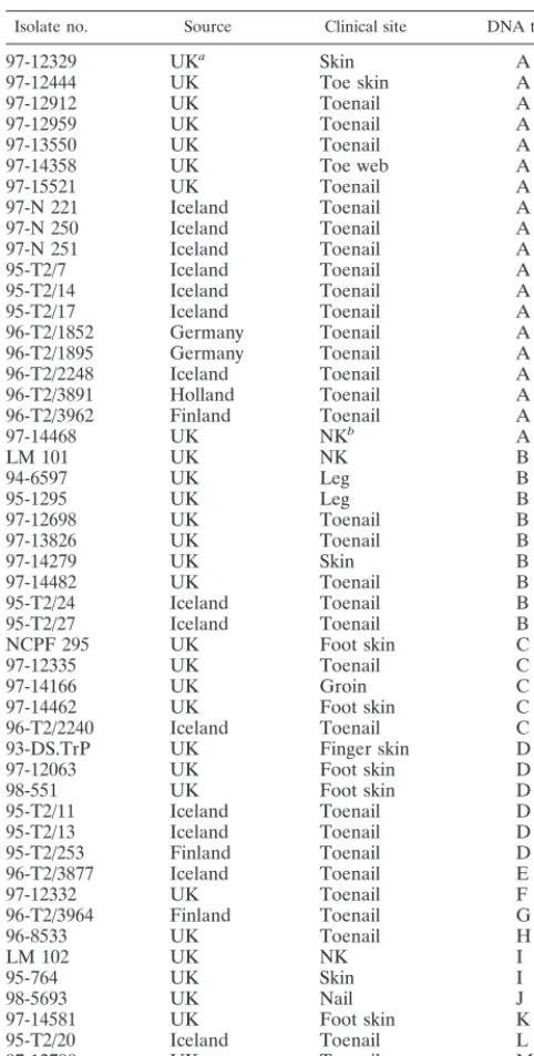 TABLE 1. Strain details and DNA types for 50 clinicalisolates of T. rubrum