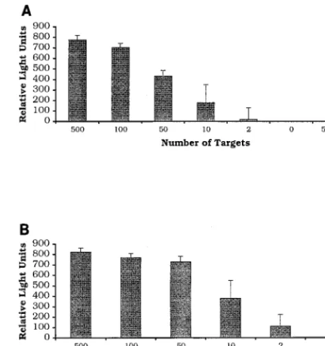 FIG. 1. Demonstration of the analytical sensitivity of the �mRNA (A) and tSDA DNA (B) assays