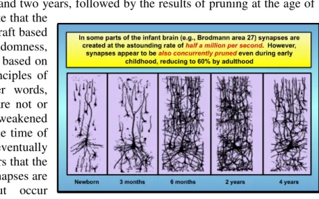 Figure  4  (Seung  2013,  108)  is  an  example  of  the  increase  in  synapses  and  dendrites  from  birth to one month, 6 months and two years, followed by the results of pruning at the age of  four years
