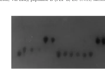 FIG. 1. Polymorphism observed in C. neoformans with GPI as the enzymaticsystem.