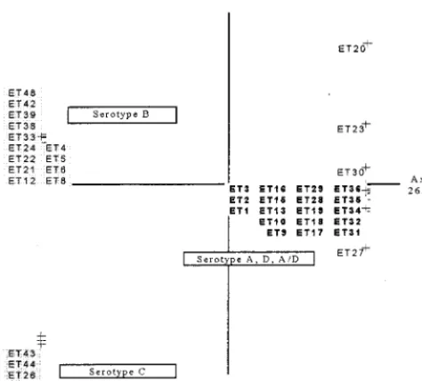 FIG. 4. First plane projection of the CCA in two informative axes of allobserved ETs. Axes 1 and 2 represent 26.14 and 23.64% of the overall variability,