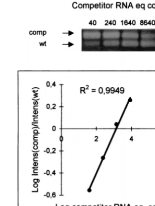 TABLE 1. Sequences and locations of the primers used forconstruction of the HIV-1 DNA competitor andin the RT-cPCR assay