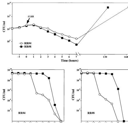 FIG. 4. Selection for bacteria with increased vancomycin resistance during the bactericidal action of vancomycin