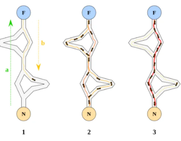 Figure 2.1: Shortest Path for Ant Colony Optimization [14]