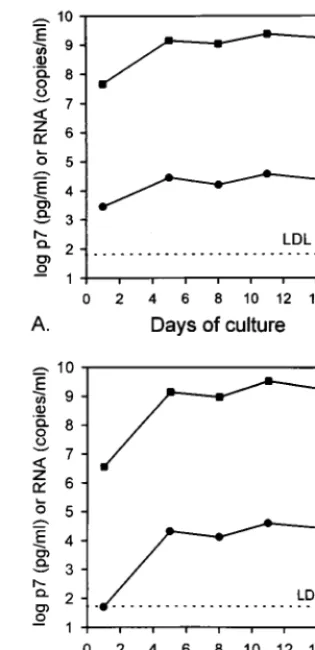 FIG. 1. HIV-1 p24 (I) and p7 (F) concentrations in two viral cultures (A andB). LDL, lower detection limit; P, passage of cultures.